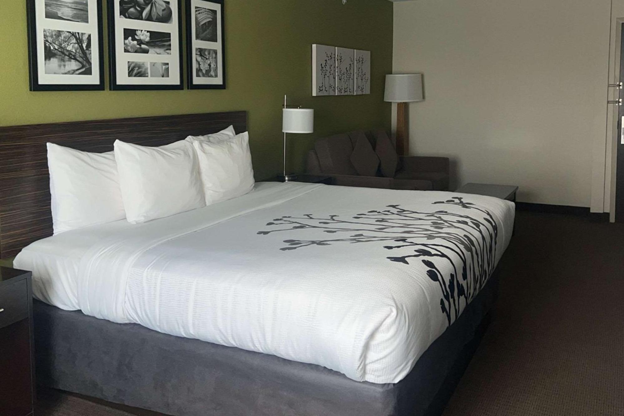 Sleep Inn & Suites Jourdanton - Pleasanton מראה חיצוני תמונה